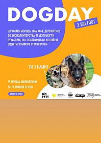 Dog Day - час для вухастих, що постраждали від росіян