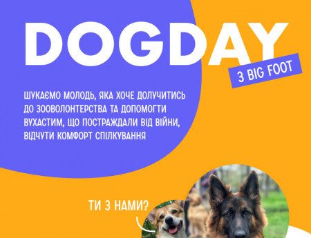 Dog Day - час для вухастих, що постраждали від росіян