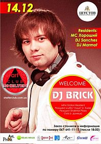 DJ Brick