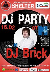 Dj party. Dj Brick