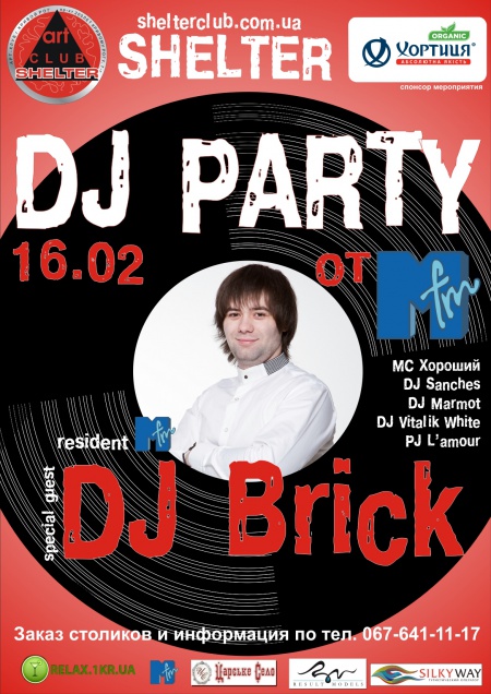 Dj party. Dj Brick
