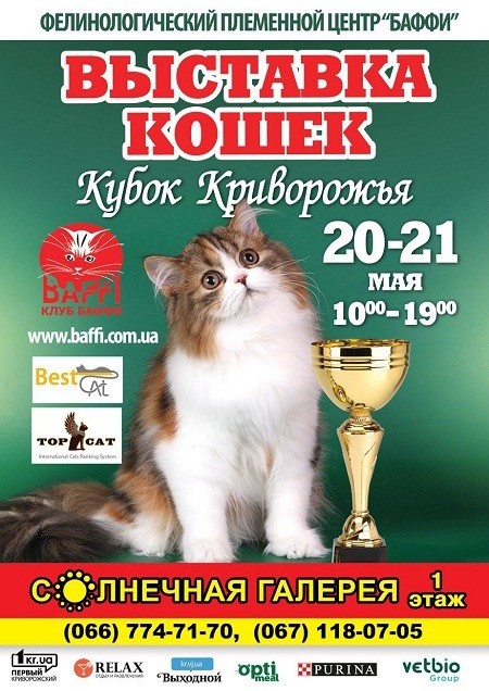 Выставка кошек Кубок Криворожья 2017