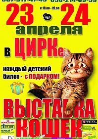 Выставка кошек в цирке