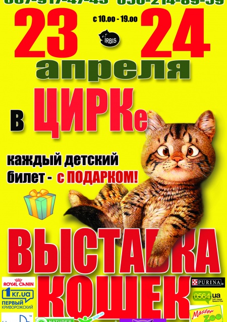 Выставка кошек в цирке