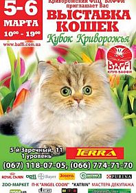Выставка кошек "Кубок Криворожья"