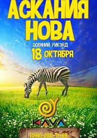 Осенний уикэнд в Асканию Нова