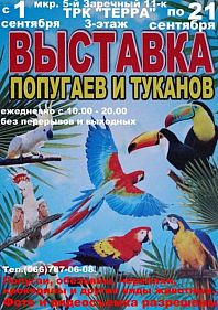 Выставка попугаев и туканов
