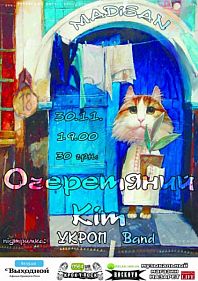 Очеретяний Кіт