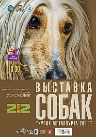Выставка собак "Кубок Металлурга-2018"