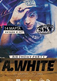 Birthday party DJ Artem White