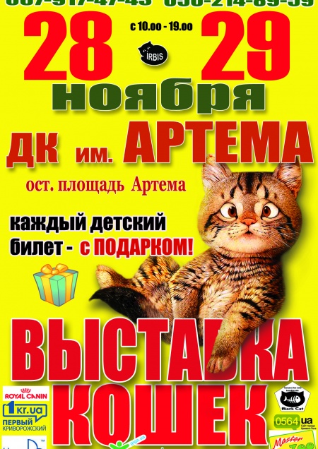 Выставка кошек