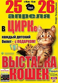 Выставка кошек