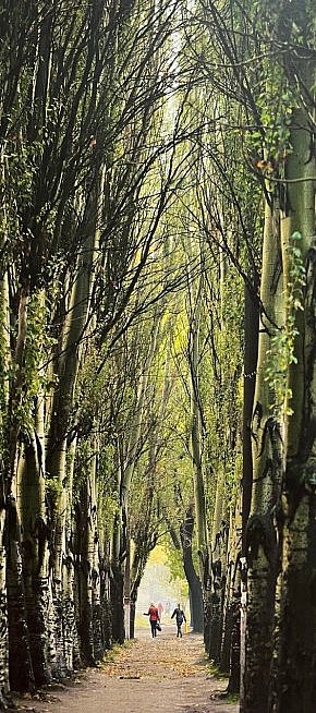 Вулиця Каховська