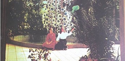 Дівчата позують на фоні флори «Будинку природи»