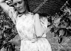 Ланкова радгоспу «Веселі терни», 1947 рік