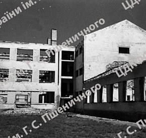 Руїни будинку, 1944 рік