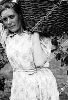 Ланкова радгоспу «Веселі терни», 1947 рік