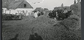 Нові Ковна — село в Україні, у Вакулівській сільській громаді Криворізького району, 1928 рік