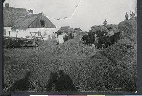 Нові Ковна — село в Україні, у Вакулівській сільській громаді Криворізького району, 1928 рік