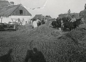 Нові Ковна — село в Україні, у Вакулівській сільській громаді Криворізького району, 1928 рік