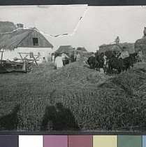 Нові Ковна — село в Україні, у Вакулівській сільській громаді Криворізького району, 1928 рік