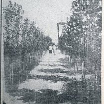 Алея скверу доменного цеху КМК, 1936 рік