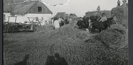 Нові Ковна — село в Україні, у Вакулівській сільській громаді Криворізького району, 1928 рік