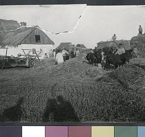 Нові Ковна — село в Україні, у Вакулівській сільській громаді Криворізького району, 1928 рік