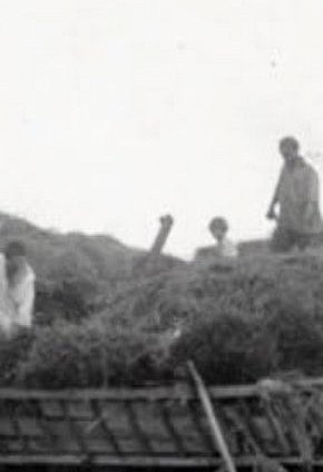 Колгосп Нива на Криворіжжі ,1926 рік