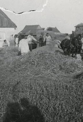 Нові Ковна — село в Україні, у Вакулівській сільській громаді Криворізького району, 1928 рік