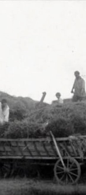 Колгосп Нива на Криворіжжі ,1926 рік