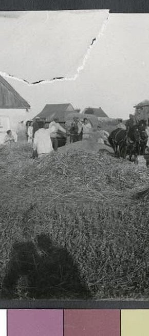 Нові Ковна — село в Україні, у Вакулівській сільській громаді Криворізького району, 1928 рік
