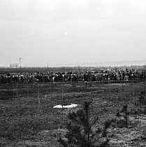 Парк ім. 50-річчя Радянської України (сучасний Парк Шахтарський), 1950-ті роки