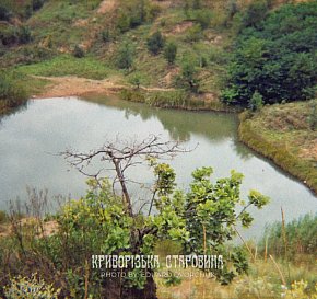 Галковка, 2004 рік