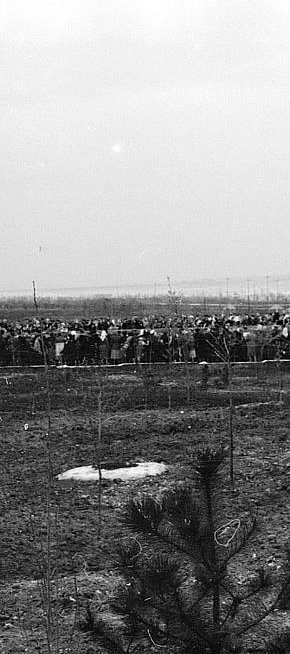 Парк ім. 50-річчя Радянської України (сучасний Парк Шахтарський), 1950-ті роки