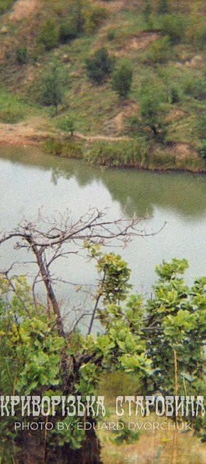 Галковка, 2004 рік