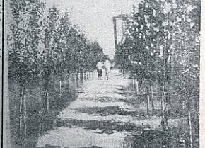 Алея скверу доменного цеху КМК, 1936 рік. Газета «Металург Кривбасу»