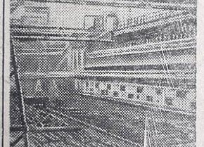 Коксова батарея № 1, 1948 рік. Газета «На стройке»