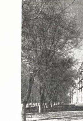 Стаття про якість будівельних робіт у Кривому Розі, 1960 рік