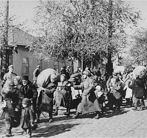 ЧОРНОГОРСЬКА ТРАГЕДІЯ, 1941