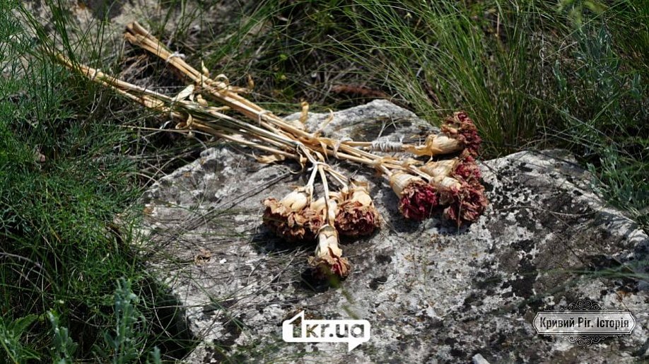 Що відомо про село Шестірня на Криворіжжі: довідка
