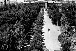 Дорога до адміністративно-побутового комбінату РЗФ-1 Новокриворізького гірничо-збагачувального комбінату, 1969 рік