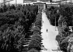 Дорога до адміністративно-побутового комбінату РЗФ-1 Новокриворізького гірничо-збагачувального комбінату, 1969 рік