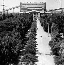 Дорога до адміністративно-побутового комбінату РЗФ-1 Новокриворізького гірничо-збагачувального комбінату, 1969 рік