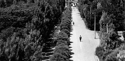 Дорога до адміністративно-побутового комбінату РЗФ-1 Новокриворізького гірничо-збагачувального комбінату, 1969 рік