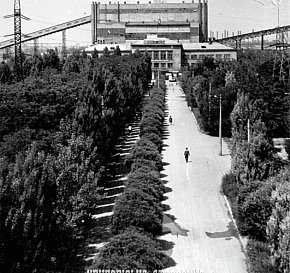 Дорога до адміністративно-побутового комбінату РЗФ-1 Новокриворізького гірничо-збагачувального комбінату, 1969 рік