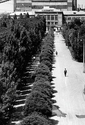 Дорога до адміністративно-побутового комбінату РЗФ-1 Новокриворізького гірничо-збагачувального комбінату, 1969 рік