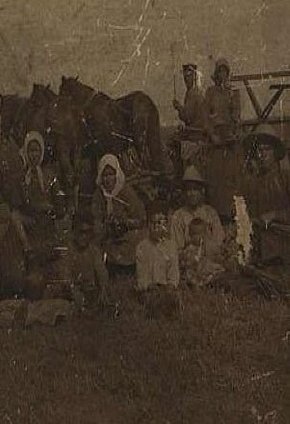Північне Криворіжжя, село Веселі Терни, 1905 рік