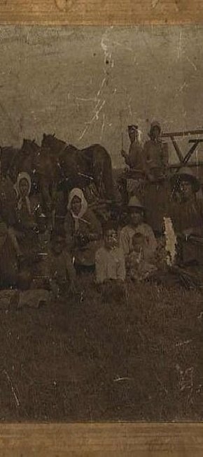 Північне Криворіжжя, село Веселі Терни, 1905 рік