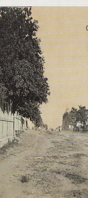 Вулия Глинки